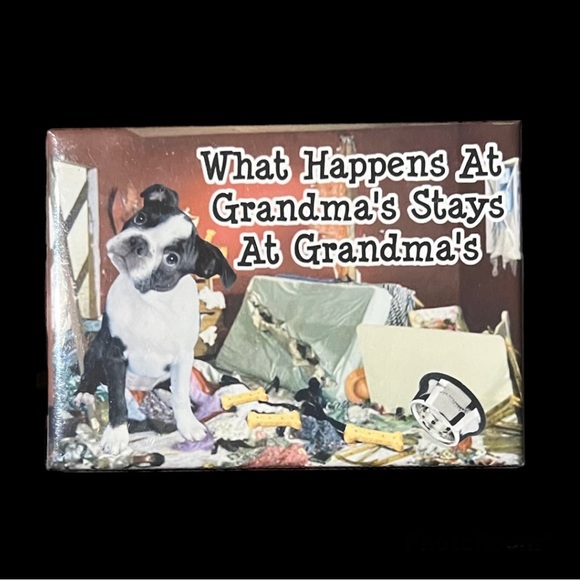 🌼2/$12 Wag Whimsy Boston Terrier Magnet - Picture 1 of 5